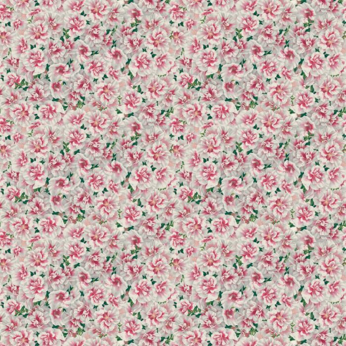 John Derian - Variegated - FJD6000/01 Azalea