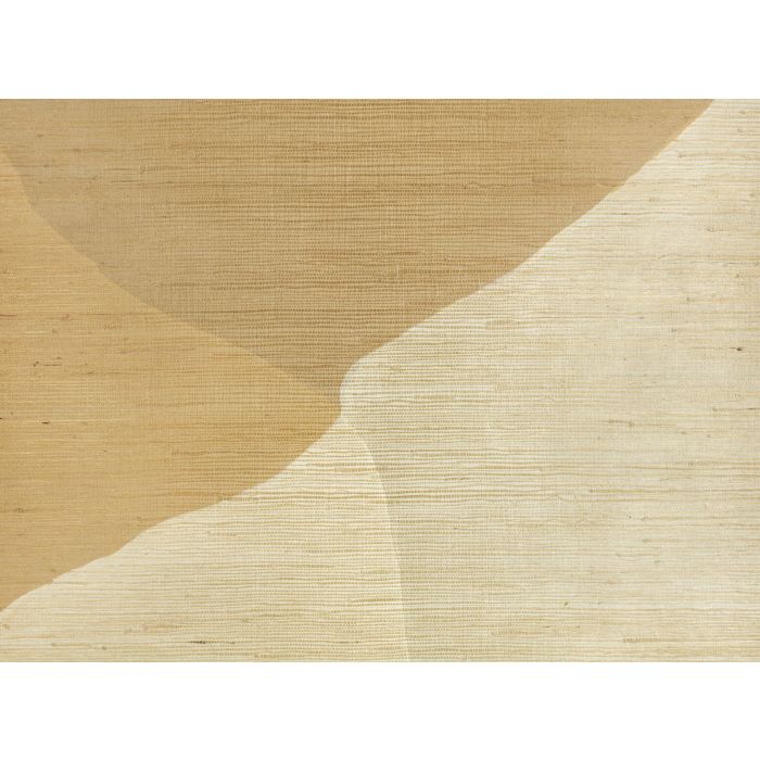 Kirkby Design - Studio Wall Mural - WK817/04 - Desert