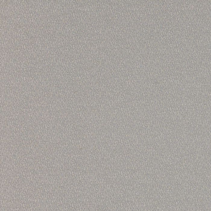 Manuel Canovas - Gita - 4936/10 Glacier