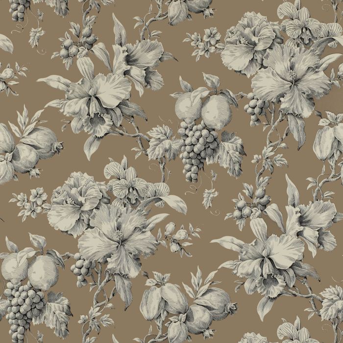 Manuel Canovas - Bellegarde - Balata Ebène 3061/03