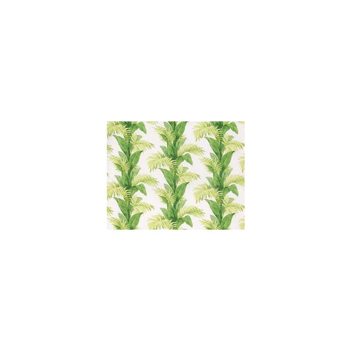 Nina Campbell - Palmetto - NCF4246-01