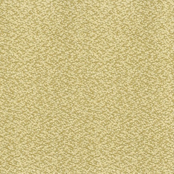 Nina Campbell - Cardot - NCF4451-04