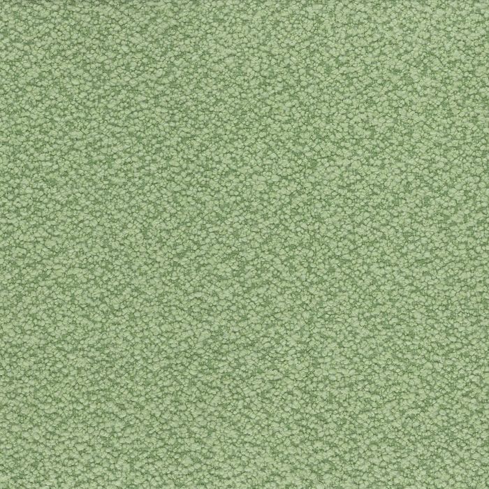 Nina Campbell - Cardot - NCF4451-05