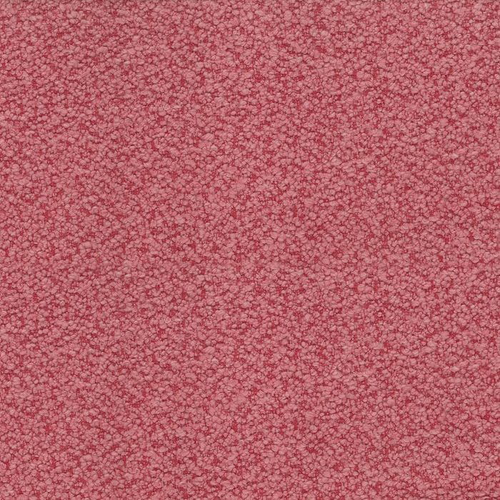 Nina Campbell - Cardot - NCF4451-08