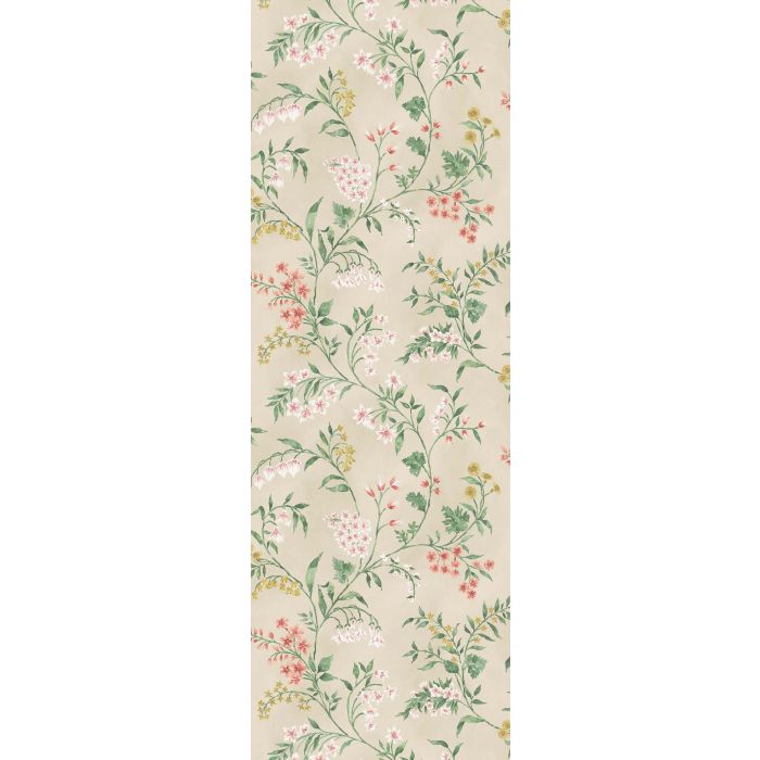 Nina Campbell - Almora - NCW4491-03