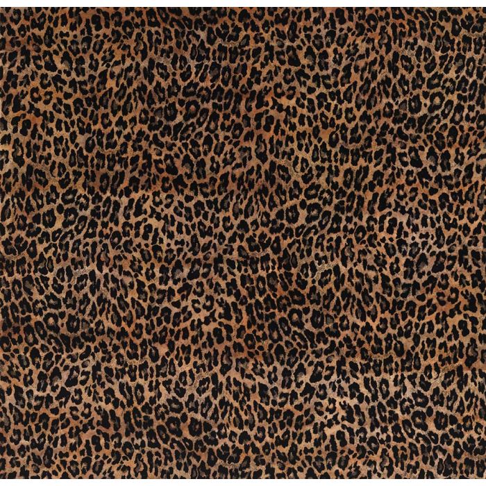 Osborne & Little - Pardus - F6713-02