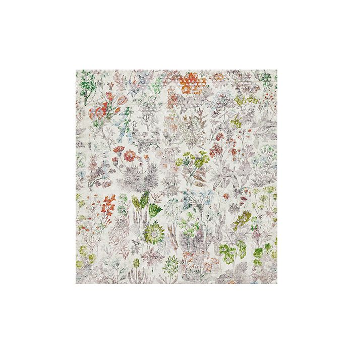 Osborne & Little - Herbaria - F7772-01