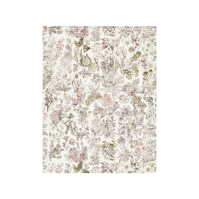 Osborne & Little - Herbaria - F7772-02