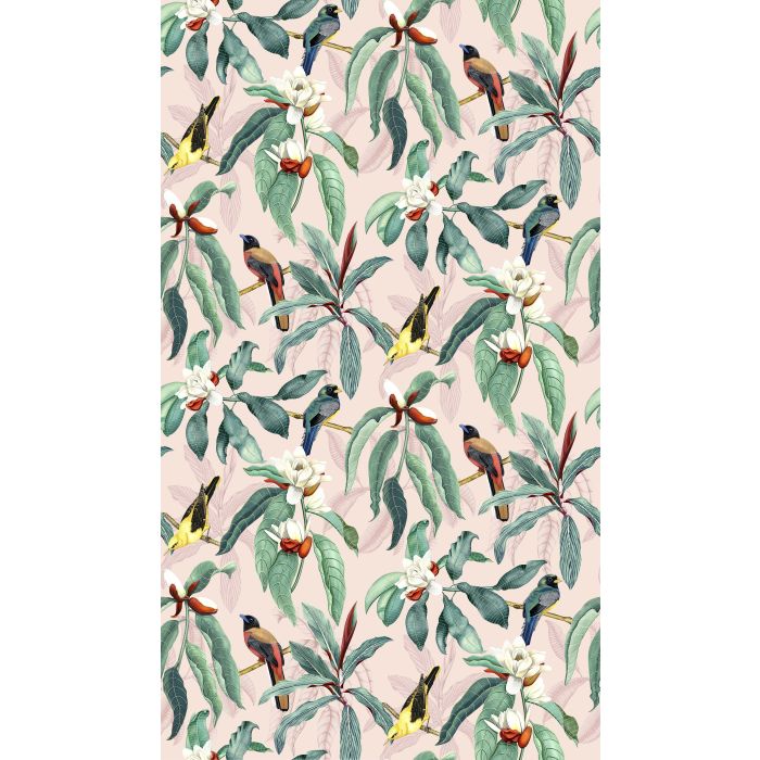 Osborne & Little - Michelia - W7612-02