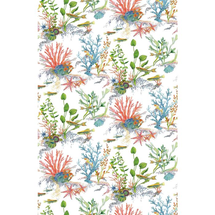 Osborne & Little - Coralline - W7682-01