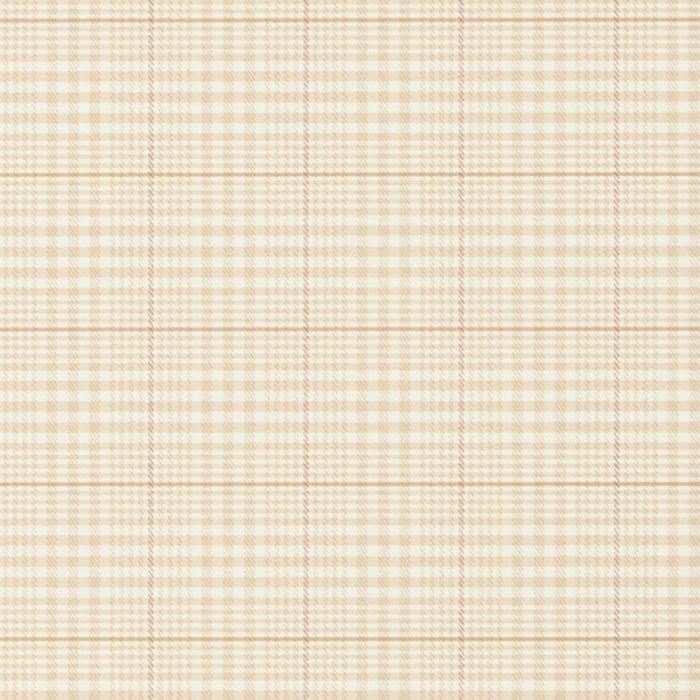 Ralph Lauren - RL Classic - Stripes and Plaids - Barrington Plaid PRL019/01