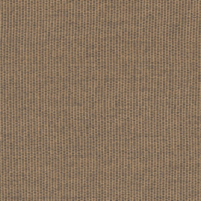 Ralph Lauren - Nantucket Raffia - LCF66004F Tortoise