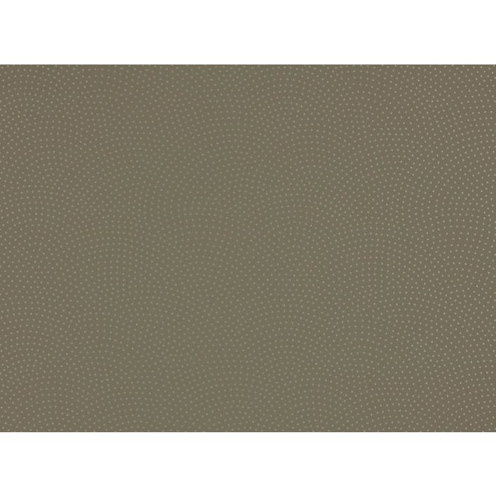 Romo - Rivo - String 7426/08