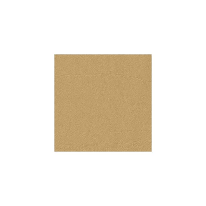 Élitis - Stromboli - Au galop ! TV 240 11