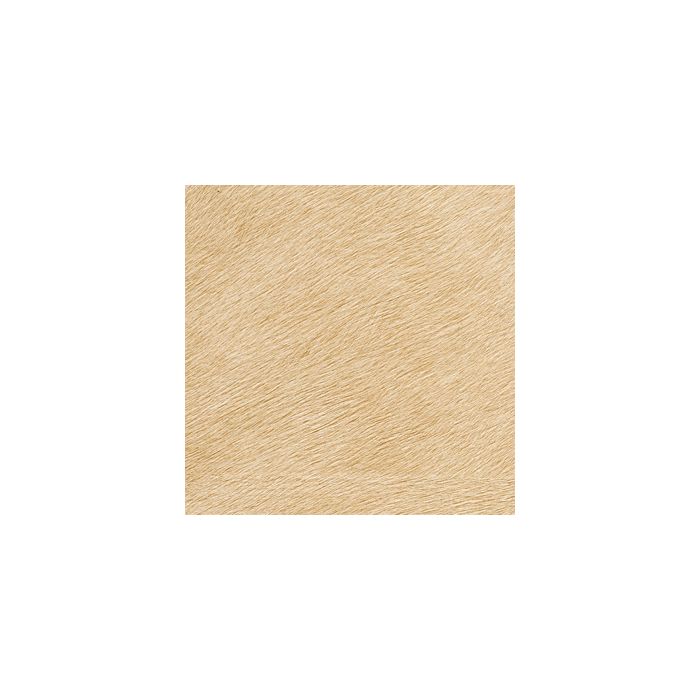 Élitis - Mémoires - Movida - VP 625 29 Oasis de lumière