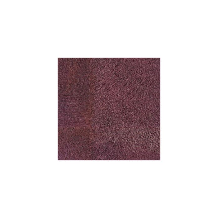 Élitis - Mémoires - Loup - VP 656 05 Bien au chaud