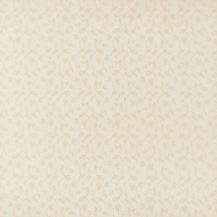 Wind - Avignon - 8A Natur