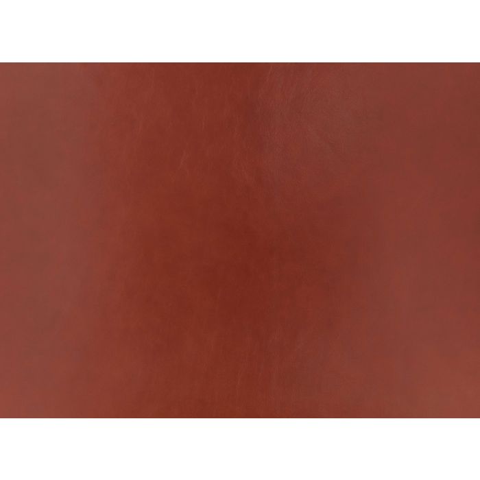 Zinc - Jimi - ZL100/08 - Dragon