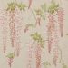 Colefax and Fowler - Baptista - Seraphina 7157/01 Pink