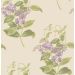 Cole & Son - Archive Anthology - Madras Violet 100/12056