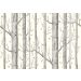 Cole & Son - Whimsical - Woods & Stars 103/11050