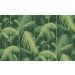 Cole & Son - Icons - Palm Jungle 112/1003