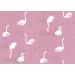 Cole & Son - New Contemporary I - Flamingos 66/6043