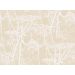 Cole & Son - New Contemporary I - Cow Parsley 66/7049