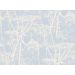 Cole & Son - New Contemporary I - Cow Parsley 66/7050