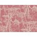 Cole & Son - New Contemporary I - Cow Parsley 66/7052