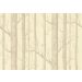 Cole & Son - New Contemporary II - Woods 69/12148