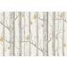 Cole & Son - Contemporary Restyled - Woods & Pears 95/5032