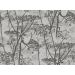 Cole & Son - Contemporary Restyled - Cow Parsley 95/9050