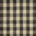 Colefax and Fowler - Eaton Check - F1001/19 Charcoal