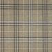 Colefax and Fowler - Kelburn Check - F3830/04 Blue/Beige