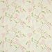 Colefax and Fowler - Atwood - F4607/01 Pink/Green