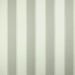 Colefax and Fowler - Shelby Stripe - F4612/02 Silver