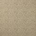 Colefax and Fowler - Chester - F4854-03 Sand