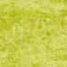 Designers Guild - Appia - F1743/20 Lime