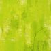 Designers Guild - Ajanta - F1793/05 Moss