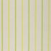 Designers Guild - Brera Nastro - FDG2263/04 Lime