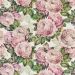 Designers Guild - The Rose - FJD6006/02 Tuberose