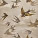  John Derian - Chimney Swallows - PJD6003/03 Sepia