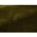 Pierre Frey - Chenille igor - F3635019 Olive