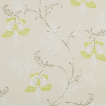 Colefax and Fowler - Messina - Bellflower 7127/02 Lime