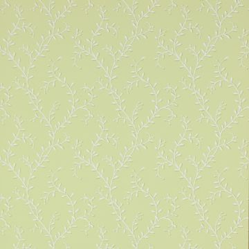 Colefax and Fowler - Celestine - Leafberry 7137/01 Green
