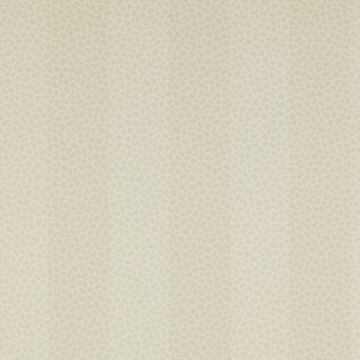 Colefax and Fowler - Chartworth Stripes - Wilder 7140/01 Beige