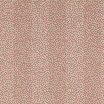 Colefax and Fowler - Chartworth Stripes - Wilder 7140/02 Red