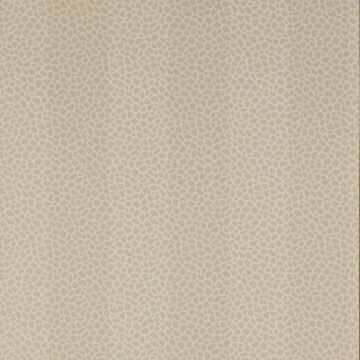 Colefax and Fowler - Chartworth Stripes - Wilder 7140/04 Mink