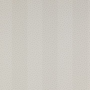 Colefax and Fowler - Chartworth Stripes - Wilder 7140/06 Silver